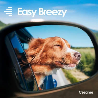 Quand la vie est facile - Morceaux acoustiques confiants et souriants